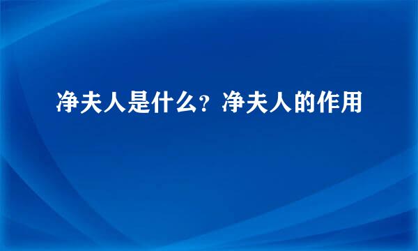 净夫人是什么？净夫人的作用