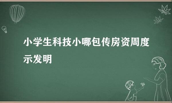 小学生科技小哪包传房资周度示发明