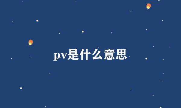 pv是什么意思