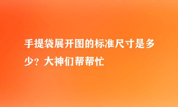 手提袋展开图的标准尺寸是多少？大神们帮帮忙