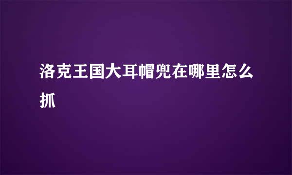 洛克王国大耳帽兜在哪里怎么抓