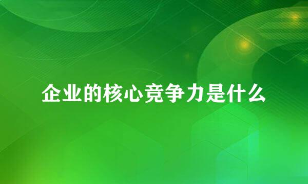 企业的核心竞争力是什么