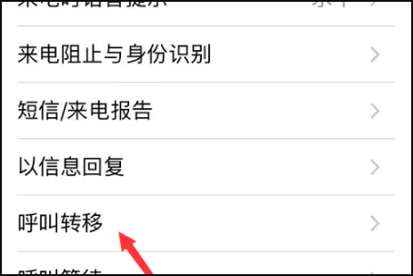 苹果手机怎么不死能设置呼叫转移的