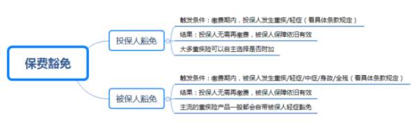 保险豁免什么意争思