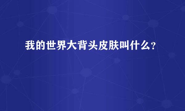 我的世界大背头皮肤叫什么？