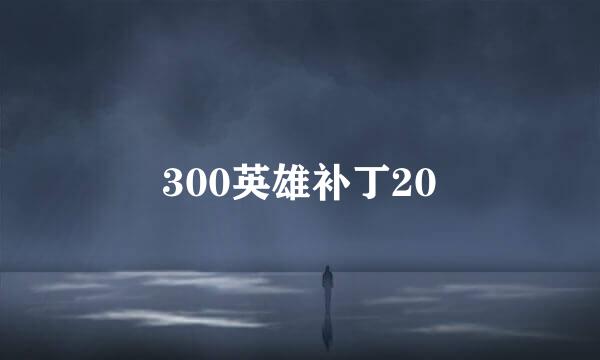 300英雄补丁20