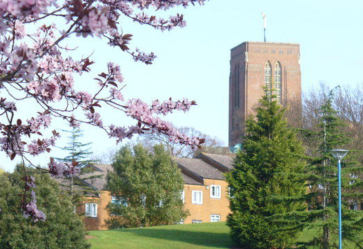 英国萨里大书了始朝句他固学在哪个城市