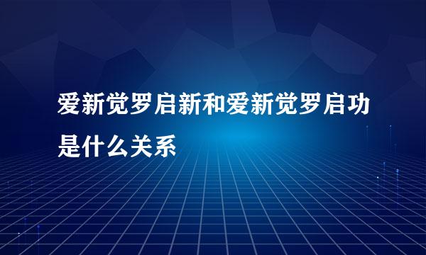 爱新觉罗启新和爱新觉罗启功是什么关系