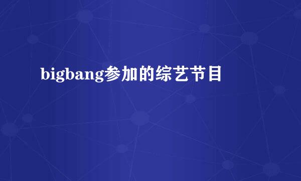 bigbang参加的综艺节目