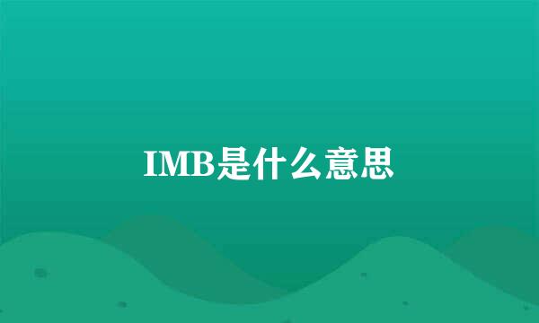 IMB是什么意思