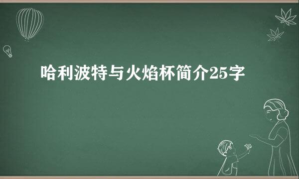 哈利波特与火焰杯简介25字