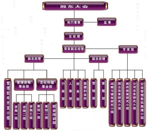 公司的组织架构