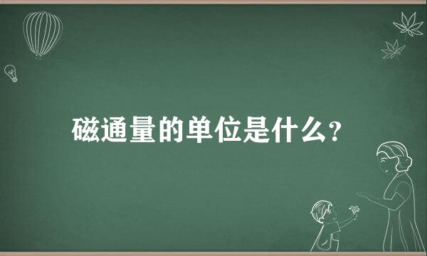 磁通量的单位是什么？