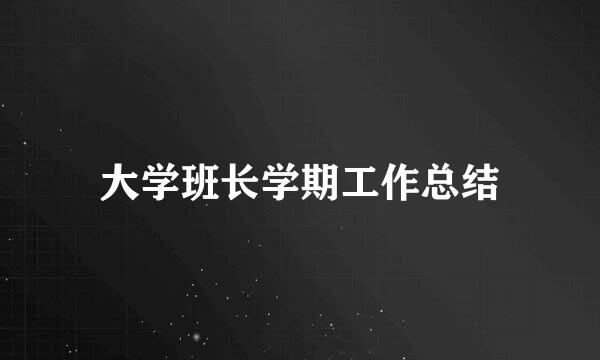 大学班长学期工作总结