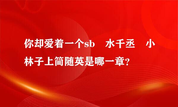 你却爱着一个sb 水千丞 小林子上简随英是哪一章？