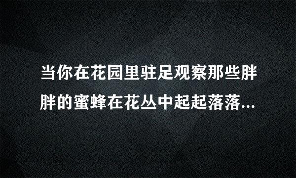 当你在花园里驻足观察那些胖胖的蜜蜂在花丛中起起落落，或者在厨房手拿苍蝇拍对着狡猾的苍蝇无可奈何时，你一定认同以下观点...