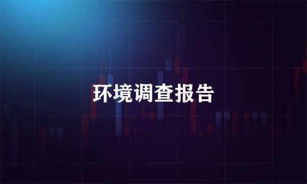 环境调查报告