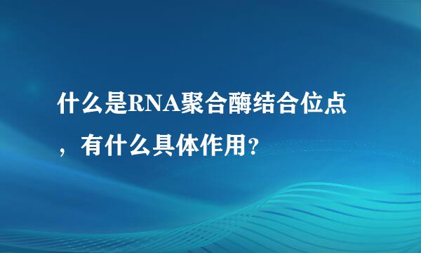 什么是RNA聚合酶结合位点，有什么具体作用？