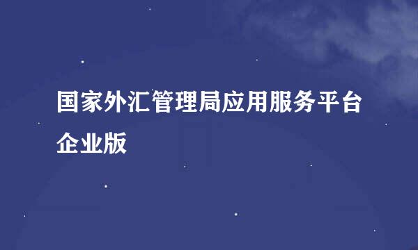 国家外汇管理局应用服务平台企业版