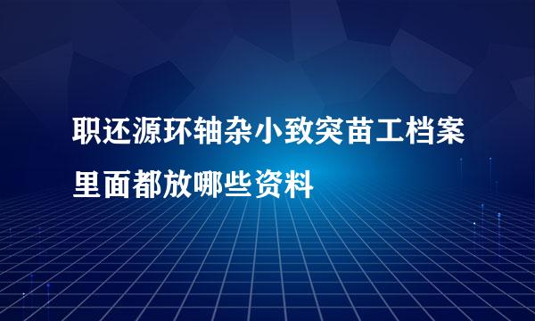 职还源环轴杂小致突苗工档案里面都放哪些资料