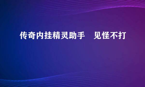 传奇内挂精灵助手 见怪不打