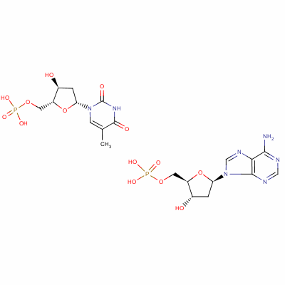 Oligo(dT)的介绍