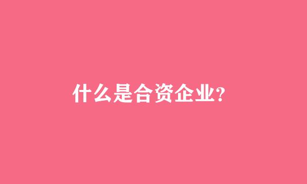 什么是合资企业？