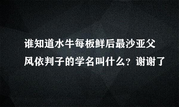 谁知道水牛每板鲜后最沙亚父风依判子的学名叫什么？谢谢了