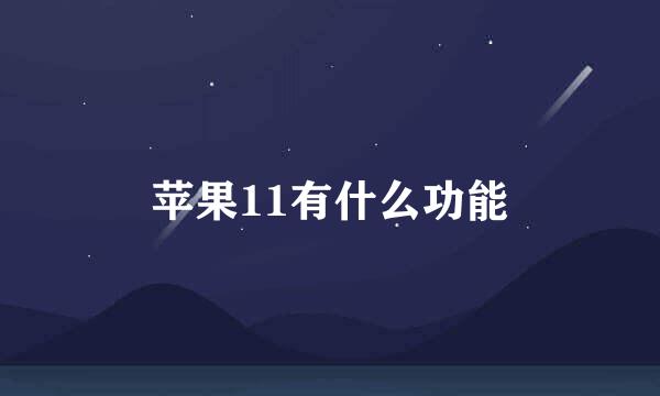 苹果11有什么功能