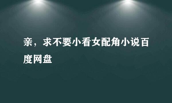 亲，求不要小看女配角小说百度网盘