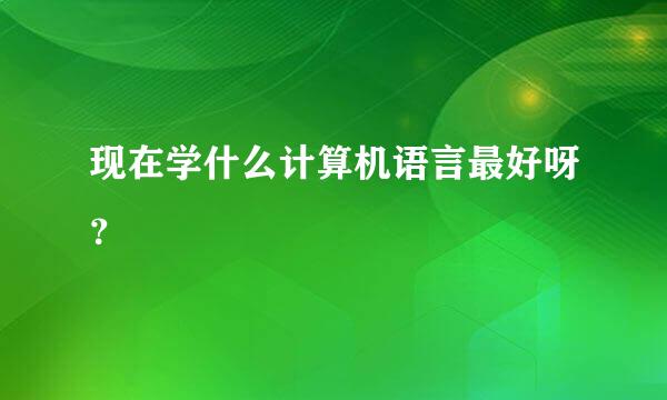 现在学什么计算机语言最好呀？