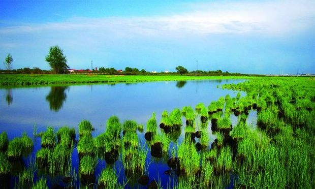 通来自湖草原旅游区的景区介绍