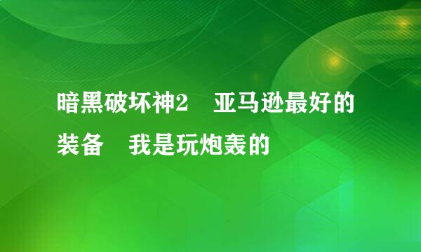 暗黑破坏神2 亚马逊最好的装备 我是玩炮轰的