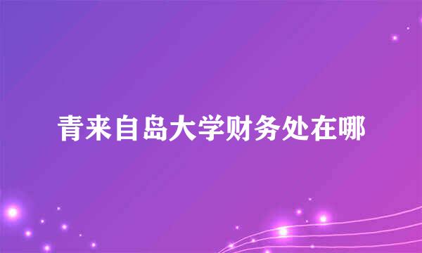 青来自岛大学财务处在哪