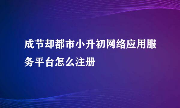 成节却都市小升初网络应用服务平台怎么注册