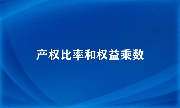 产权比率和权益乘数