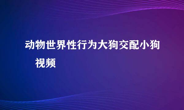 动物世界性行为大狗交配小狗 视频