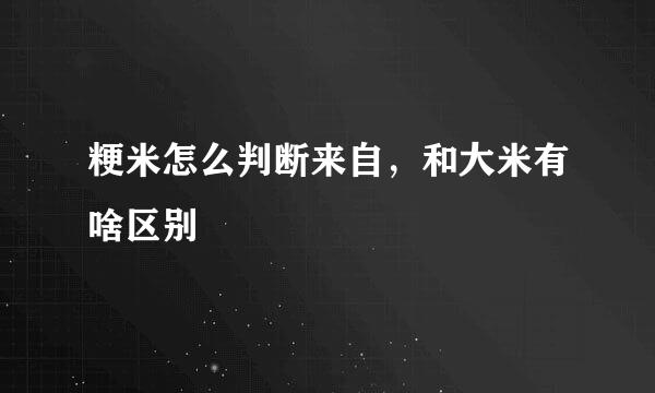 粳米怎么判断来自，和大米有啥区别