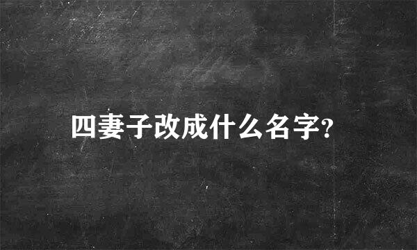 四妻子改成什么名字？