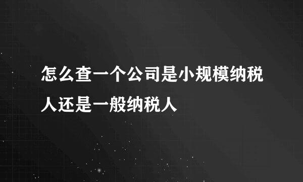 怎么查一个公司是小规模纳税人还是一般纳税人