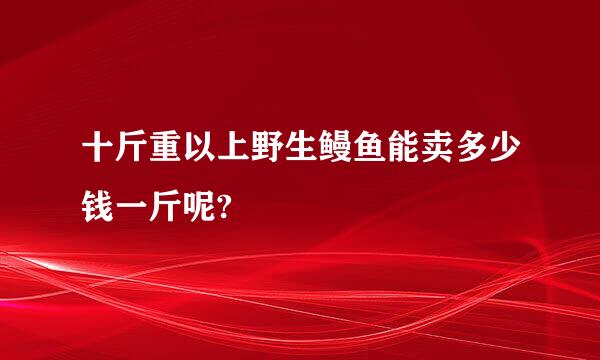 十斤重以上野生鳗鱼能卖多少钱一斤呢?