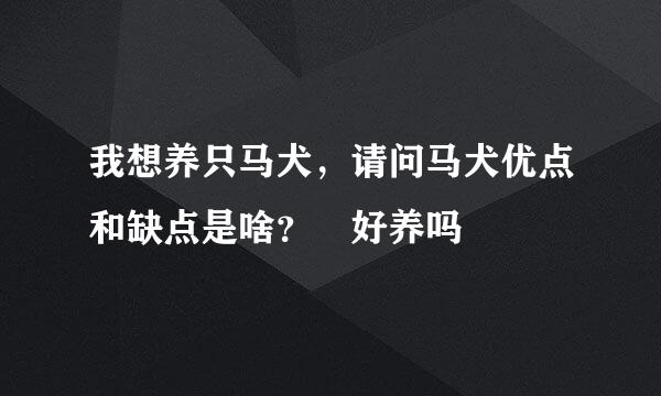 我想养只马犬，请问马犬优点和缺点是啥？ 好养吗