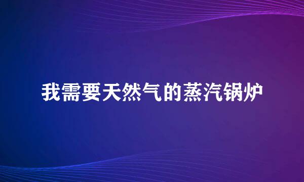 我需要天然气的蒸汽锅炉