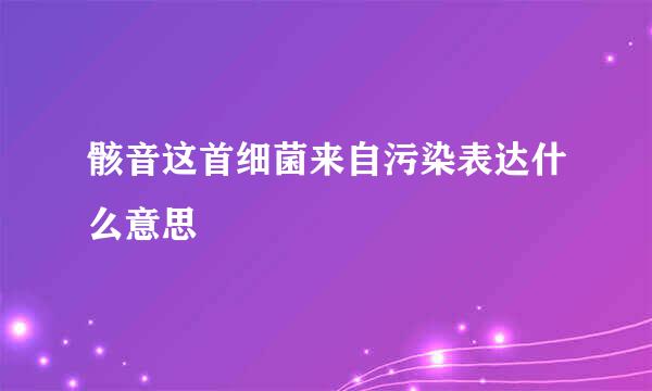 骸音这首细菌来自污染表达什么意思