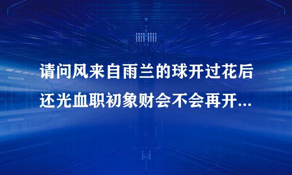 请问风来自雨兰的球开过花后还光血职初象财会不会再开呀！~拜托各位大神