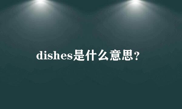 dishes是什么意思？