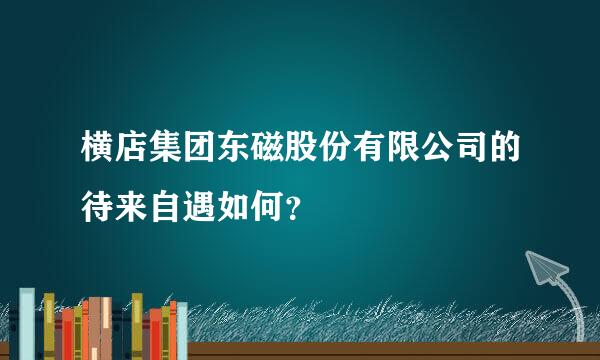 横店集团东磁股份有限公司的待来自遇如何？