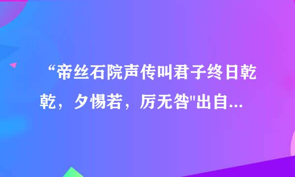 “帝丝石院声传叫君子终日乾乾，夕惕若，厉无咎