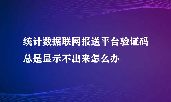 统计数据联网报送平台验证码总是显示不出来怎么办