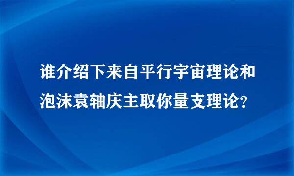 谁介绍下来自平行宇宙理论和泡沫袁轴庆主取你量支理论？